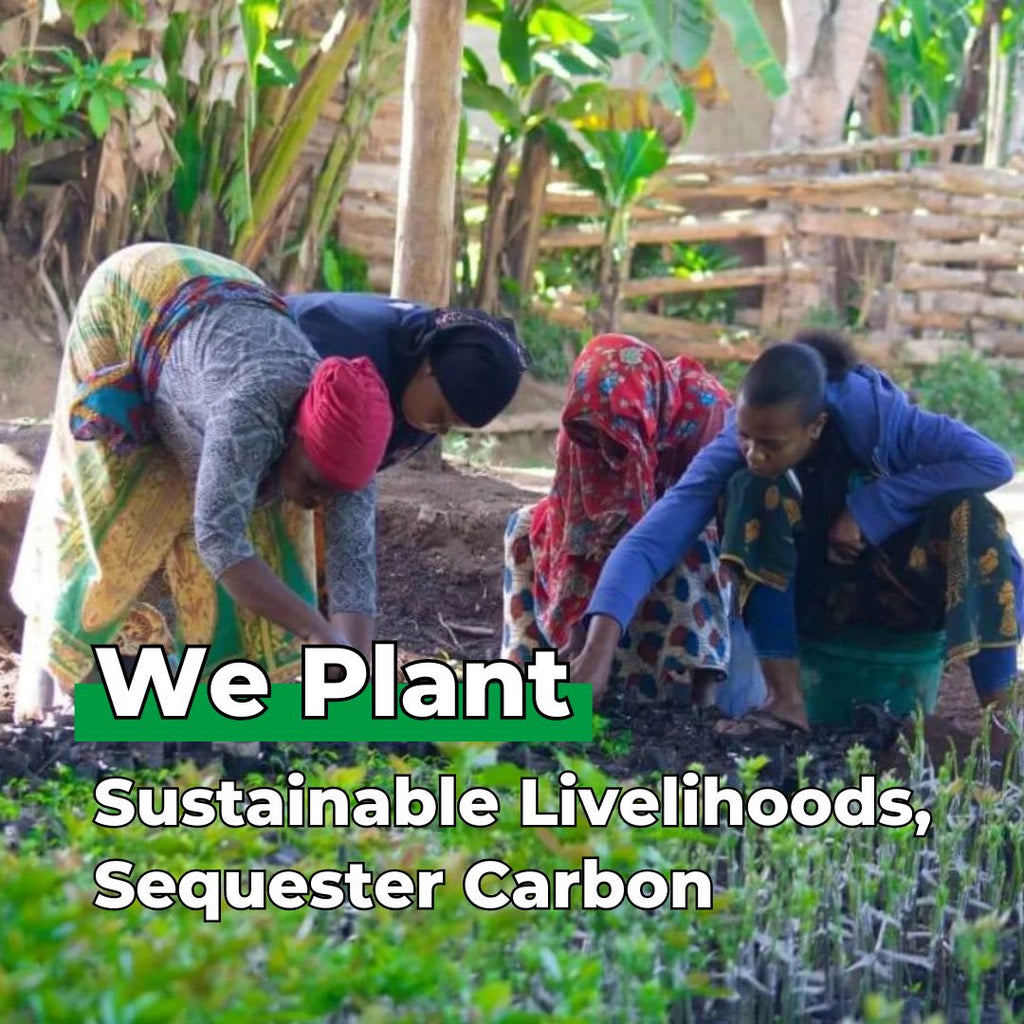The Future Is In Our Hands - Tree Kit - We Plant 20 Trees