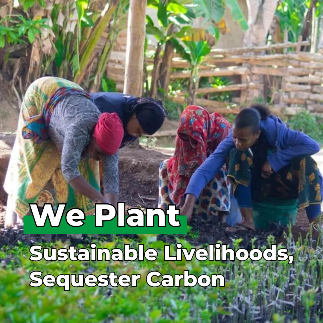 The Future Is In Our Hands - Tree Kit - We Plant 20 Trees