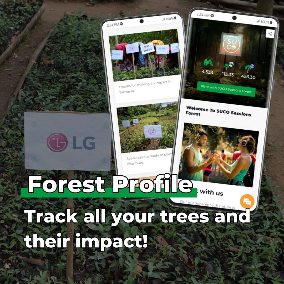 Every Forest Starts From a Single Seed - Plants 50 Trees