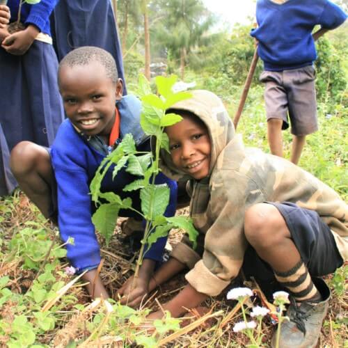 Forest Guardian Tree Cup, We Plant 100 More Trees