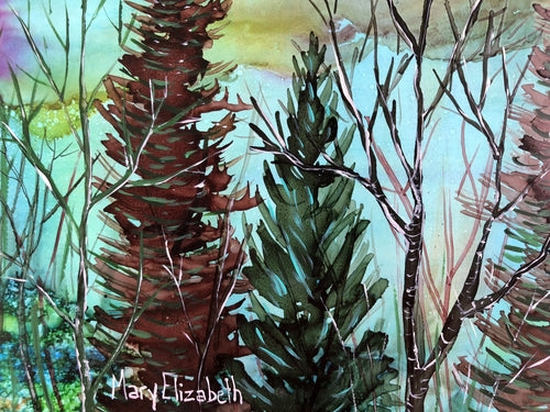 Arctic Sky Landscape : Prints