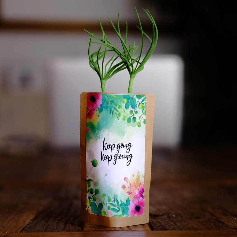 Keep going, keep growing - Plants 25 Trees