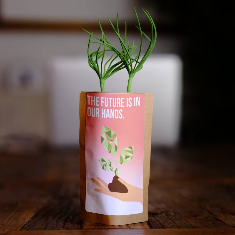 The Future Is In Our Hands - Tree Kit - We Plant 20 Trees